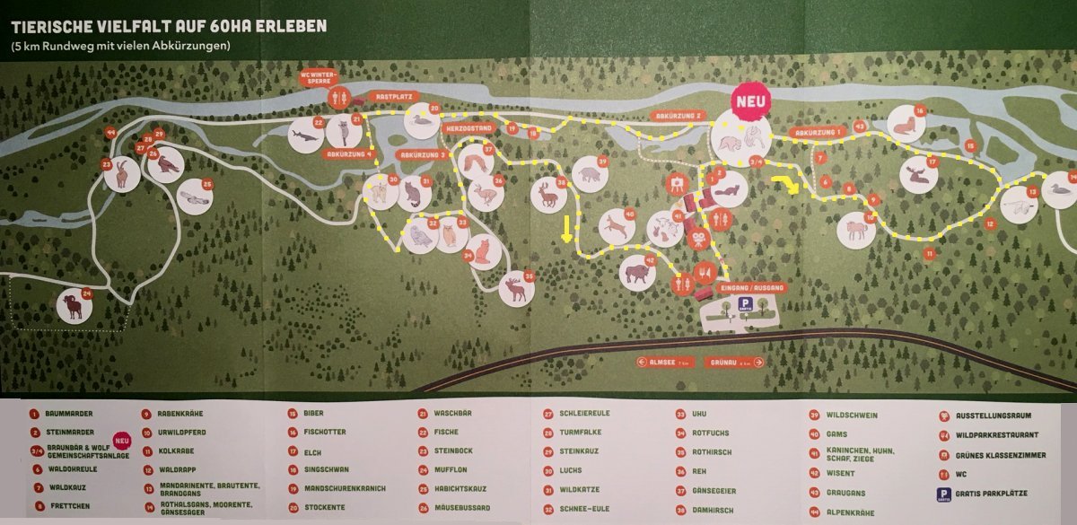 Wildpark 2019